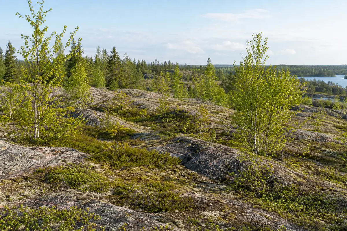 A group of Academy expedition participants on a forest trail in Karelia